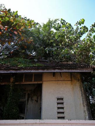 Pulau Tikus Temple